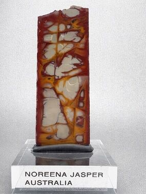 Noreena Jasper Australia